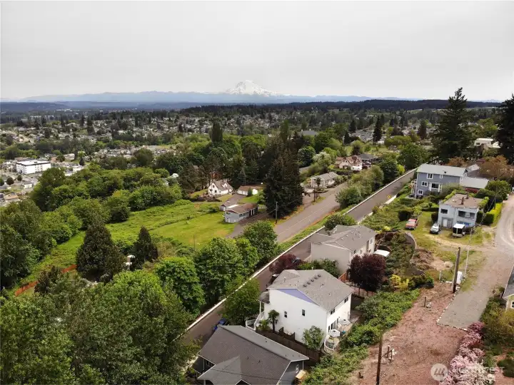 Mount Rainier in the distance