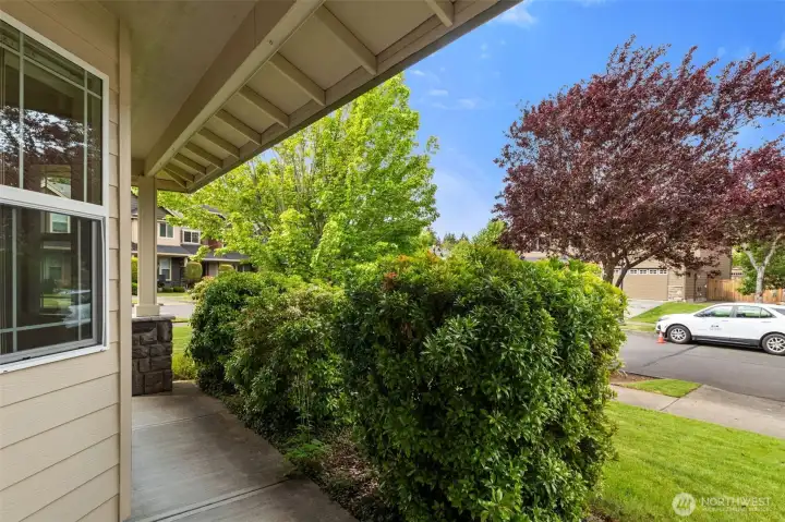 Concrete walkway between the house and landscape. Concrete walkway between the house and landscape.