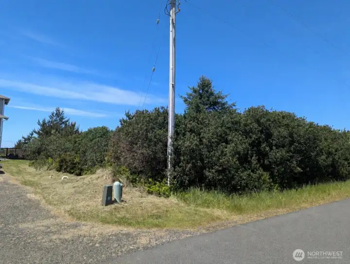 Selectively clear your building site or camping lot. Just a short walk to the Butter Clam Beach Access Selectively clear your building site or camping lot. Just a short walk to the Butter Clam Beach Access