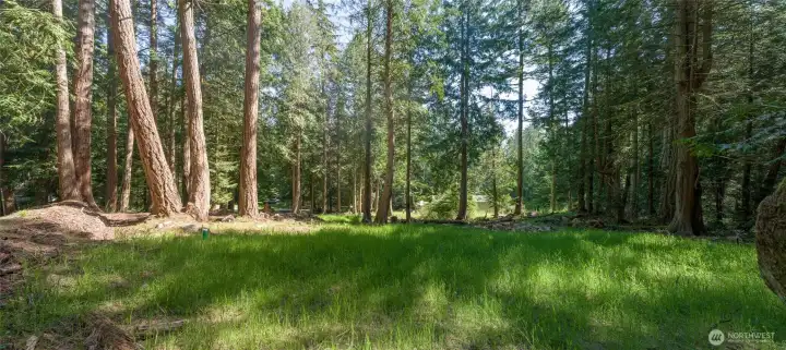 Close to the ferry and not far from the Village sits this half acre lot with 3 bedroom septic.