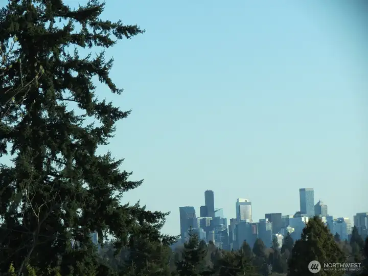 This peek view of the city from the living room and deck. This peek view of the city from the living room and deck.