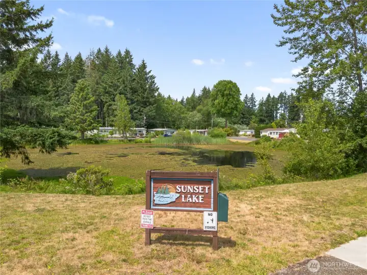 Sunset Lake - in the community - walk and see the birds activity!