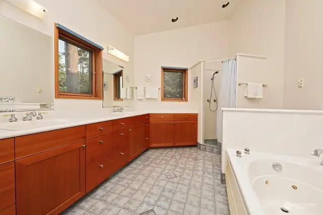 Primary Bath ~ Walk in Shower, jetted tub, large vanity.