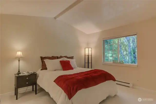 Vaulted ceiling in spacious master bedroom