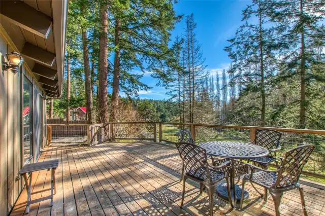 Upper level deck off main level great room enjoys a sunny view over the community meadow.