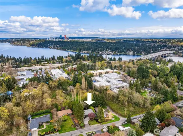 Location, location, location! This home is tucked in a quiet enclave just minutes from I-90, Lake Washington, top-rated Mercer Island schools, parks, restaurants, and retail.