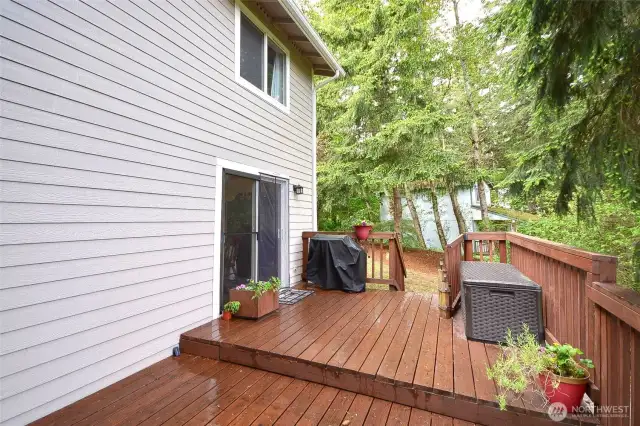 Another view of the huge deck.