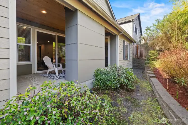 Low maintenance backyard