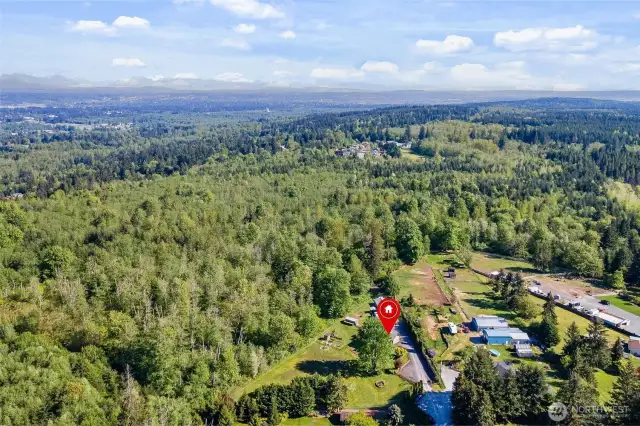 Surrounded by the beautiful greenery of Washington State.