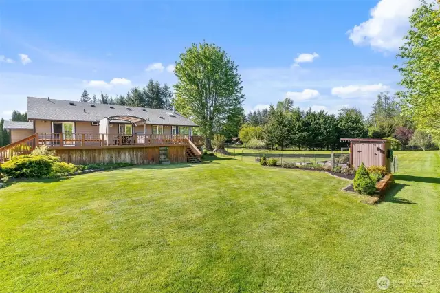 View of backyard
