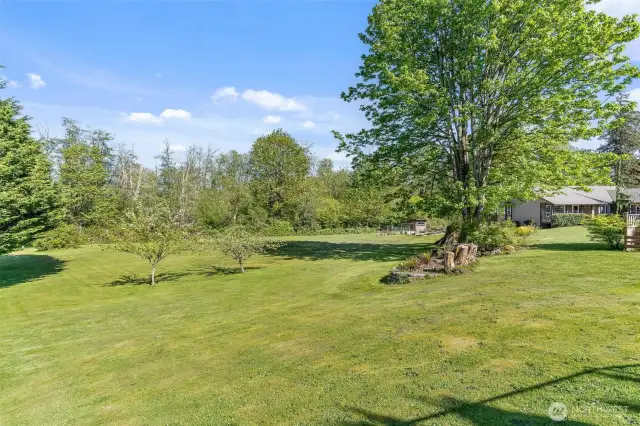 Come pick some apples in your own yard!