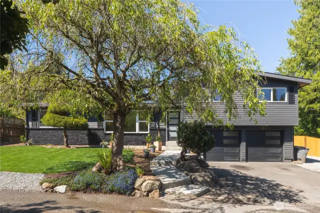 Fully mature CHERRY BLOSSOM TREE creates a central feature for the front of the home with abundant pink blooms in the Spring. This tree is knows for it's unique partially exposed root system that create sheltered planting nooks beneath it.