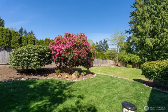 Yard has a natural divide created by the established flowering shrubbery. This allows you to enjoy a peaceful patio and manicured lawn area with plenty of room beyond for all kinds of projects. City chicken coop, large work shed, ADU or a fantastic location for a full sun exposure veggie garden! So many options without sacrificing the lovely patio garden area!