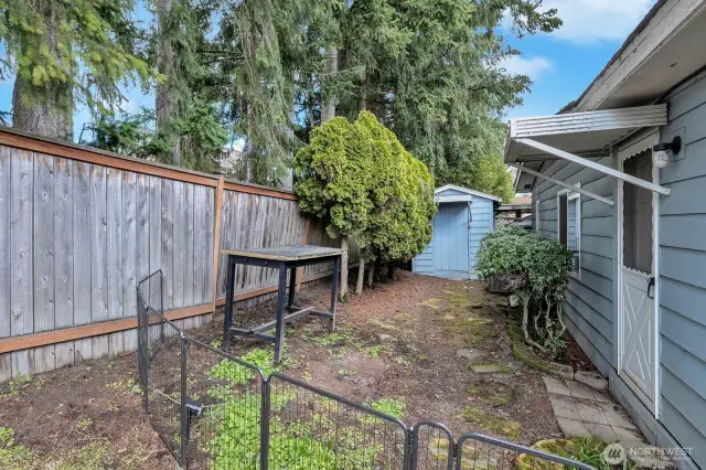 Back of the house with yard and access to storage shed,