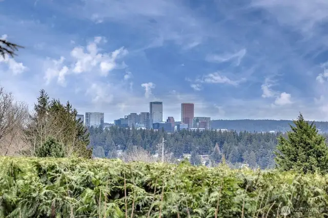 Witness the ever-evolving skyline of Bellevue