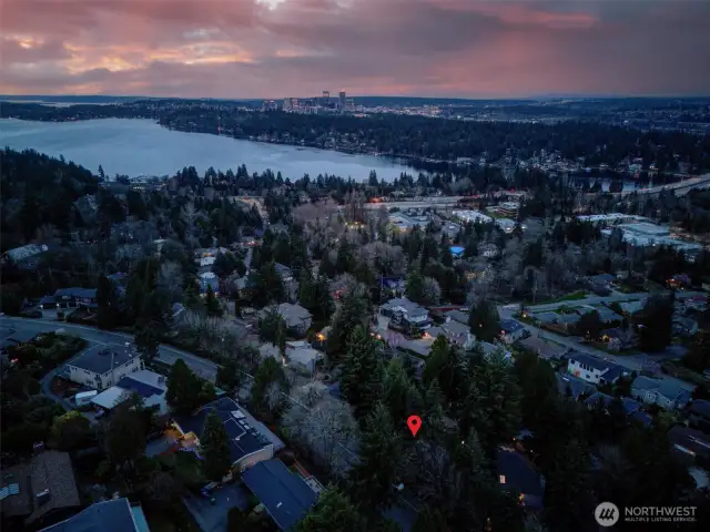 Bellevue exudes a tranquil yet vibrant ambiance, making it one of the most captivating views as day turns to night.
