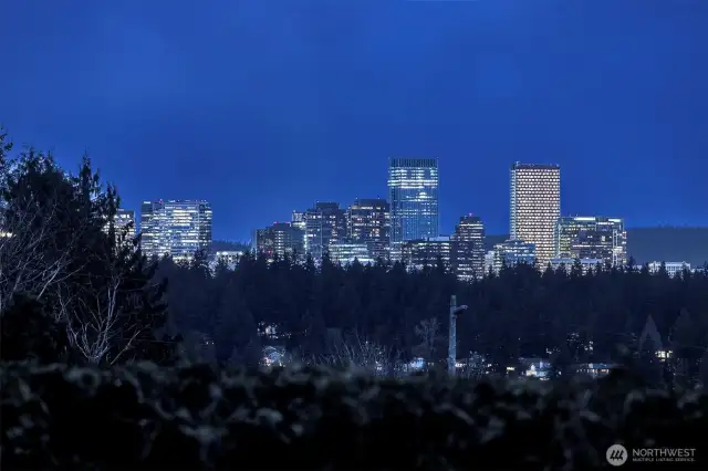 As the day transitions to twilight, the home’s large windows capture  the views of downtown Bellevue providing a striking contrast to the natural landscape.