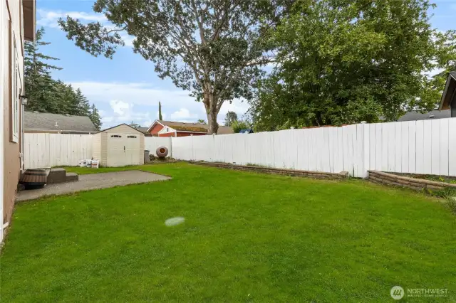 Backyard w storage