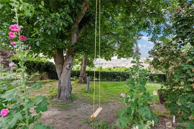 A tree swing, mature landscaping, flowers, shade.