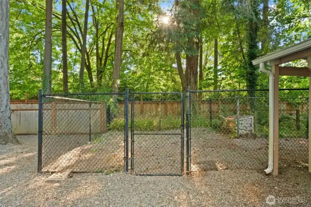 Low maintenance, fully fenced backyard
