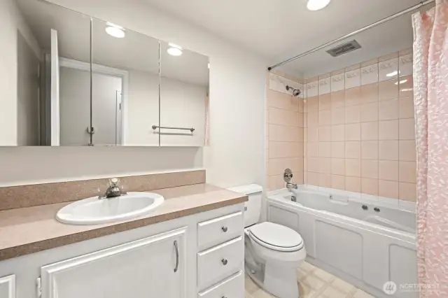 Common Bathroom