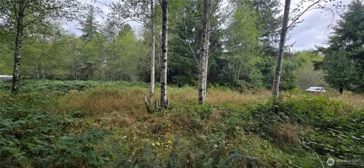 Looking towards 1351 Driveway (R) and towards 1357 Property (L) From creek.