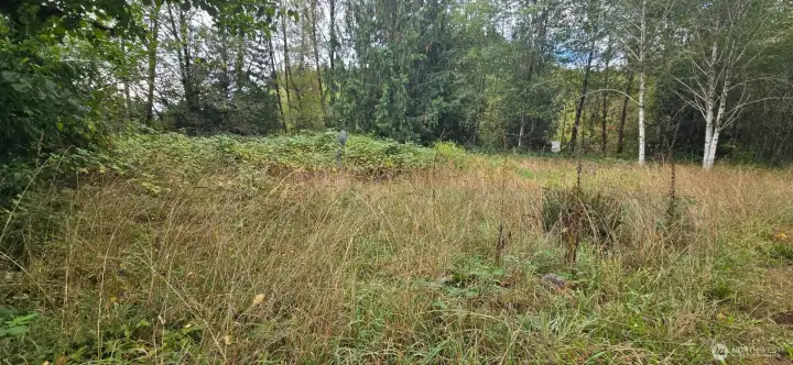 View from 1351 driveway towards possible building site, old satelite dish & electrical box. Creek behind clearing near treeline.