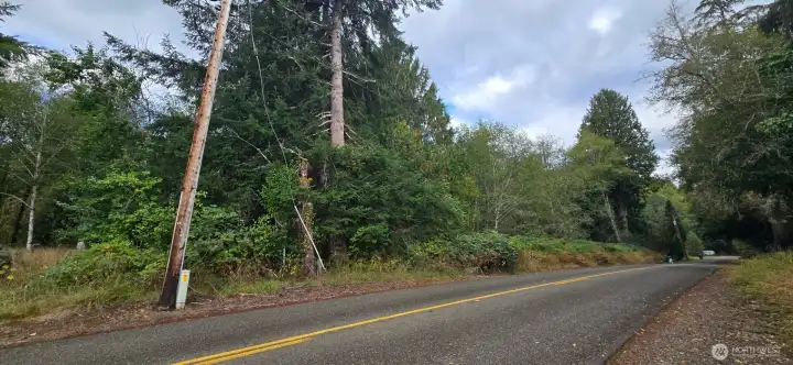 View from across the road looking towards 1357 road frontage. Driveway for 1351 is L of power pole.
