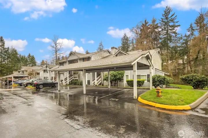 Covered parking right out front of the unit.