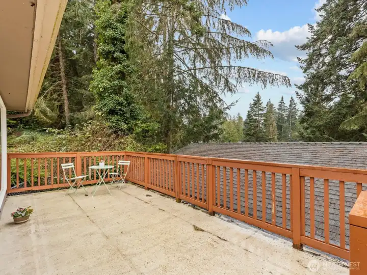 Easily get to the roof of the garage for easy cleaning.