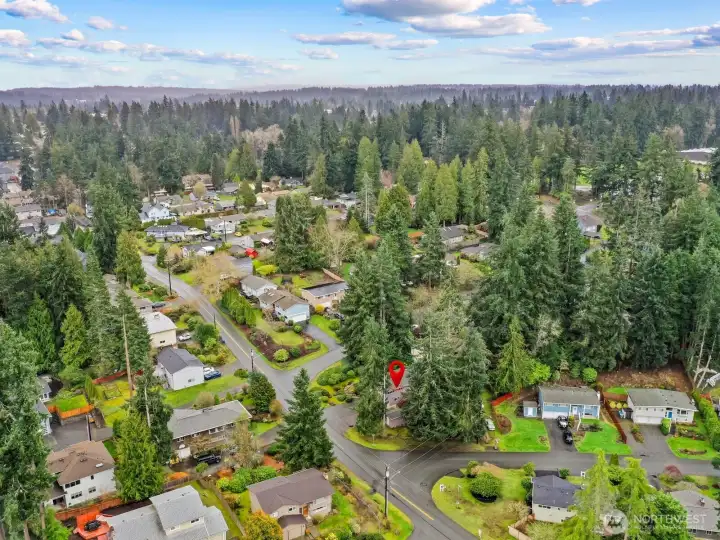 Madrona School is just up the street.