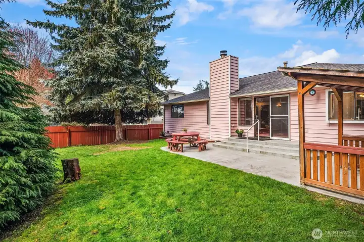 Fenced Backyard and Patio