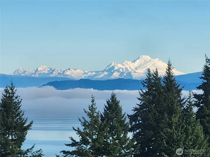 Views of Mt Baker