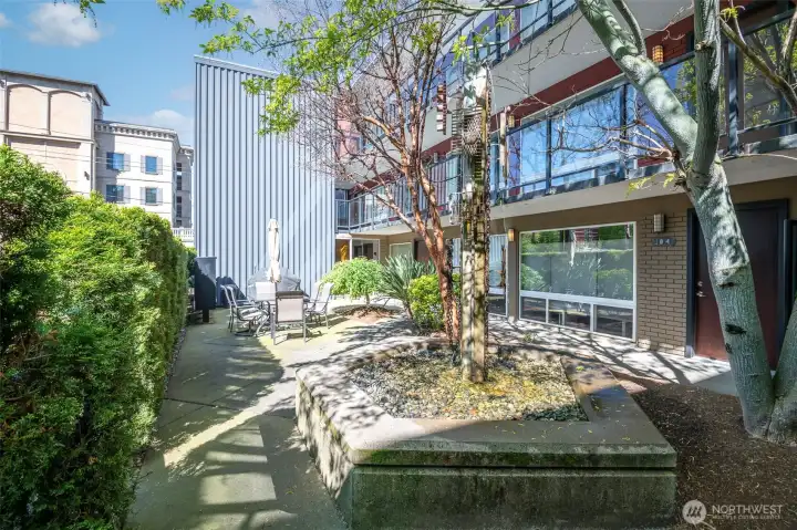 Courtyard Courtyard