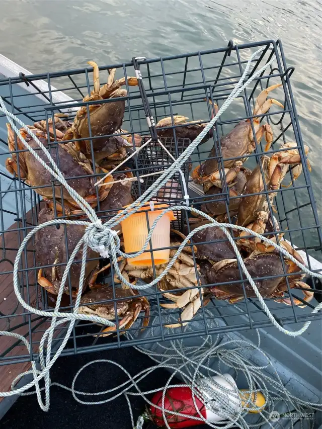 Crabbing just outside our Marina entrance is a community tradition each and every summer!