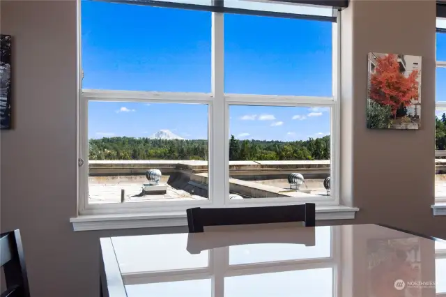 The view of Mt. Rainier from the Penhouse ccommunity room is just another bonus to living at Luna Court.