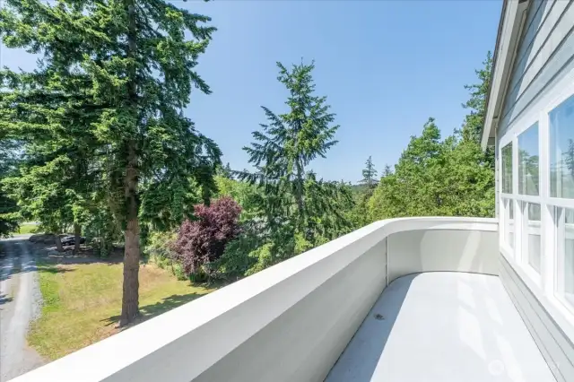 View down the private drive from your primary bedroom balcony.