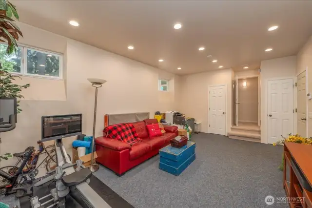 Lower-level finished basement bonus room.