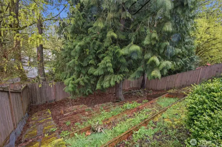 Backyard ready for your vision, providing a great opportunity to enhance and personalize the outdoor living space.