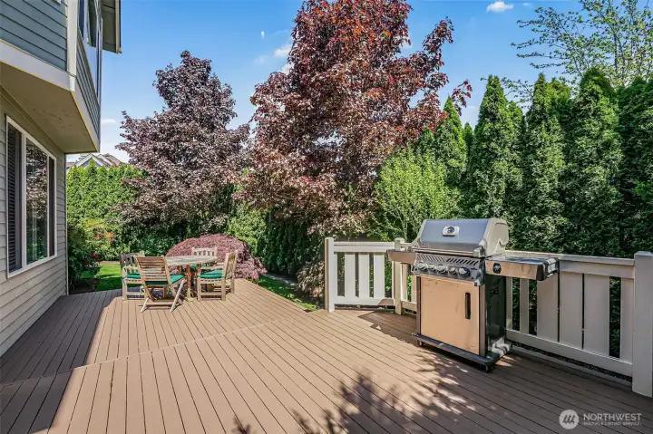 Back deck is perfect for summer days.