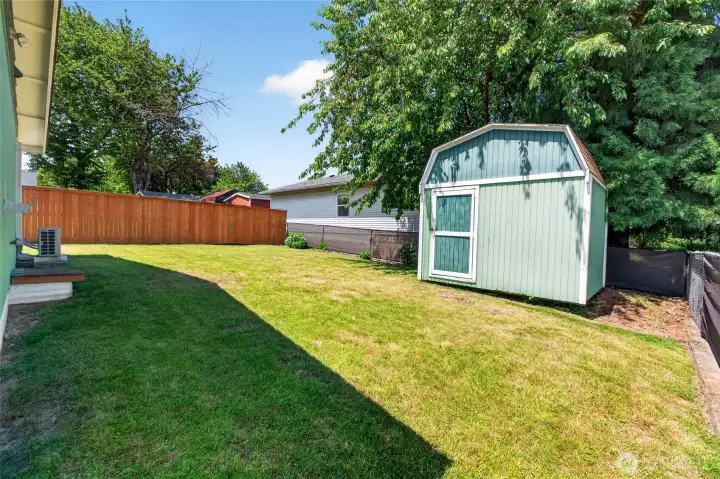 shed shed