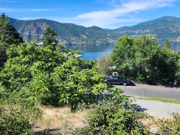 View of Lake Chelan, the new owner will have control of the shrubs on the left.