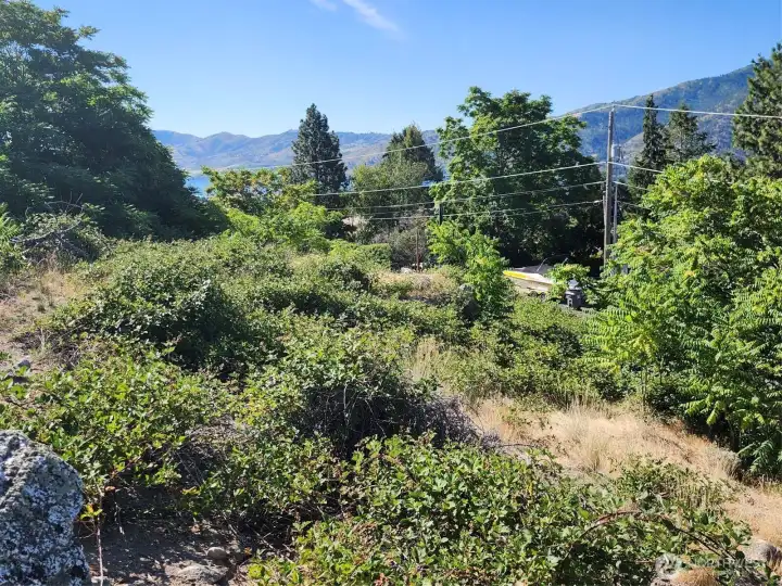 view to the east