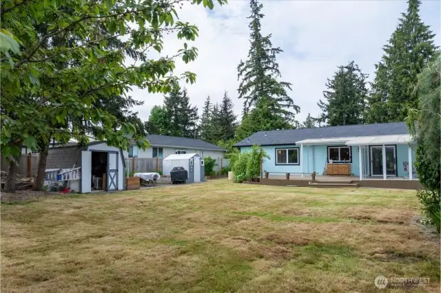 Expansive backyard with shed and greenhouse.