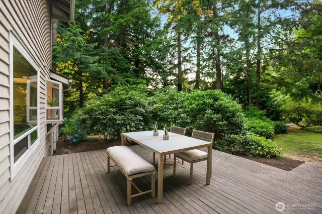 expansive backyard & deck