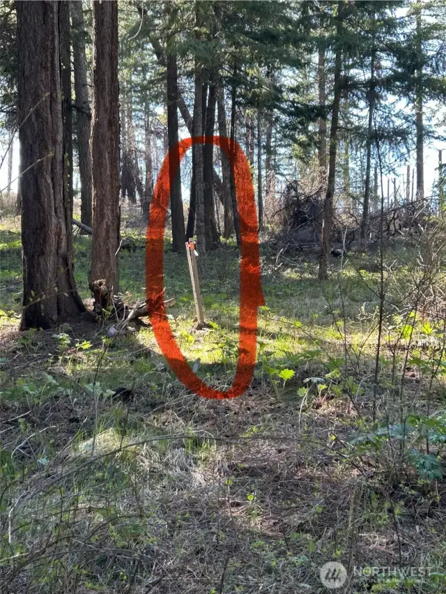 SE Corner