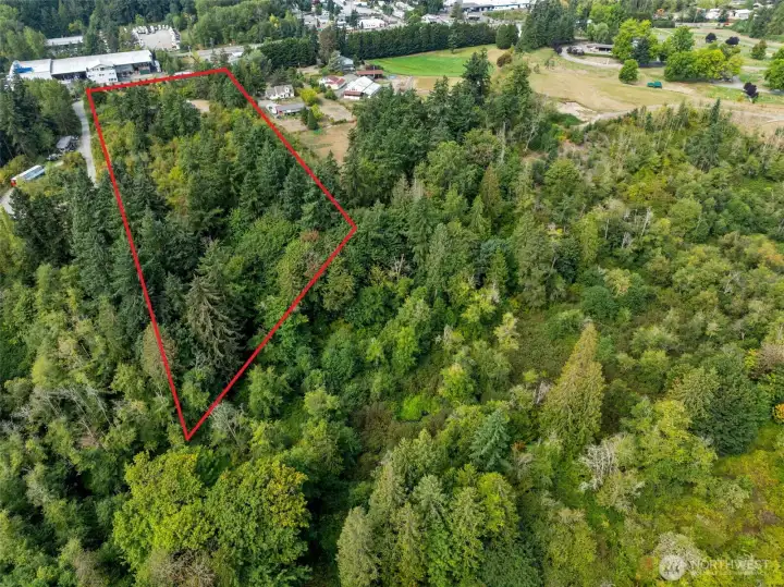 Red line is approximately where property line is.