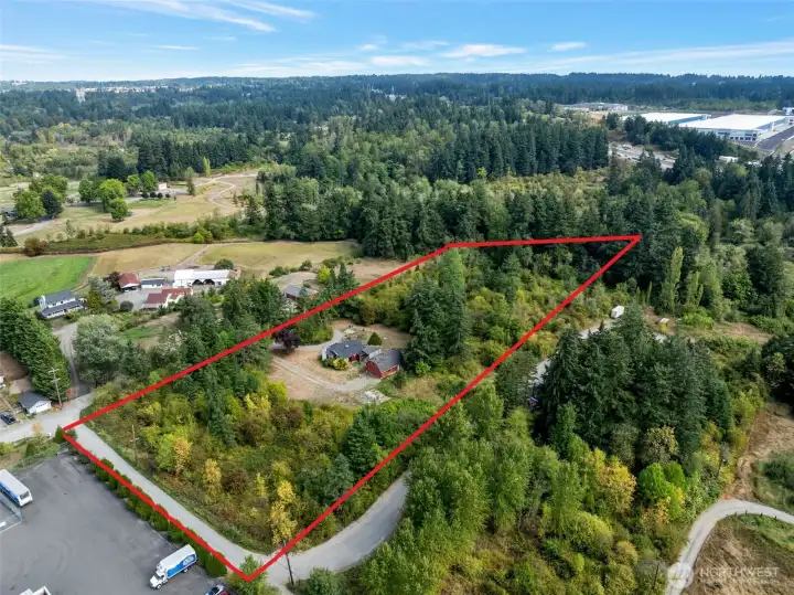 Red line is approximately where property line is.