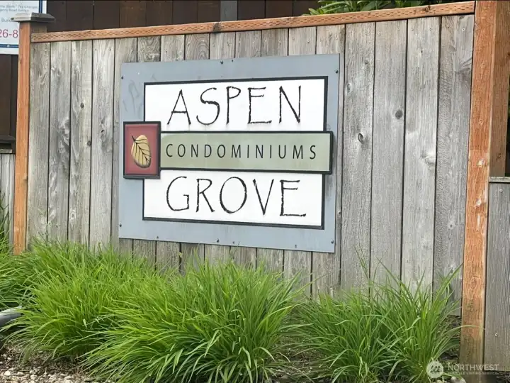 Aspen Grove