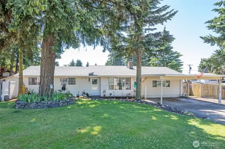 Well-maintained yard with plenty of room to enjoy.
